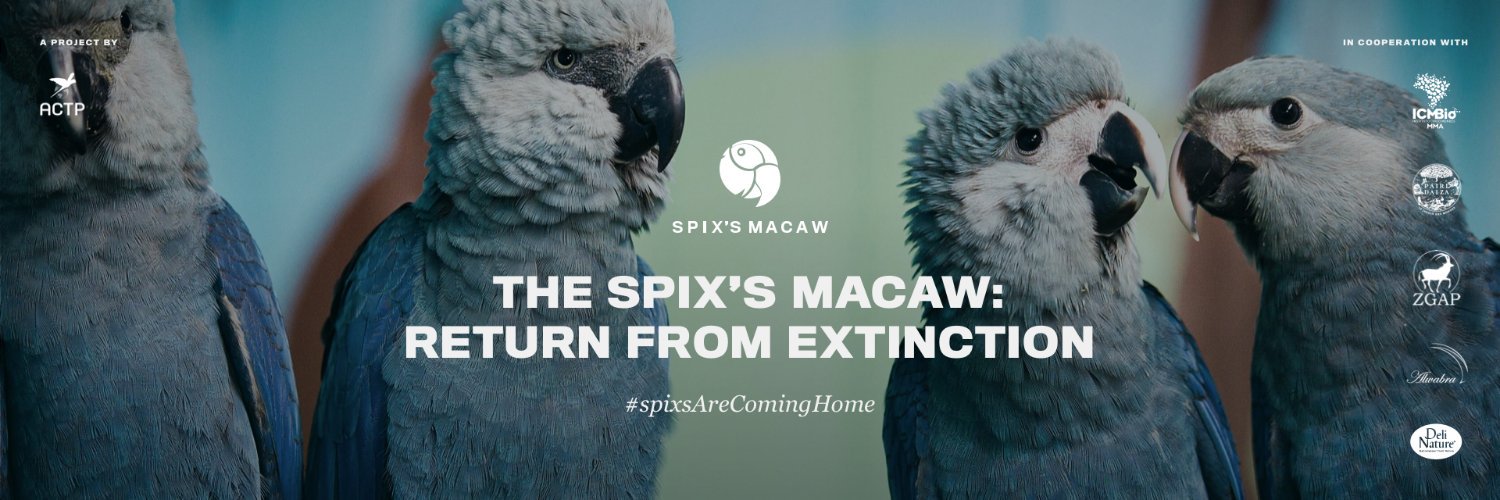 actparrots's profile banner image
