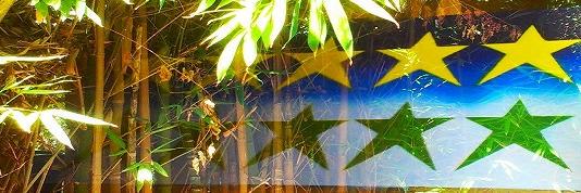 GreenStarsProject banner
