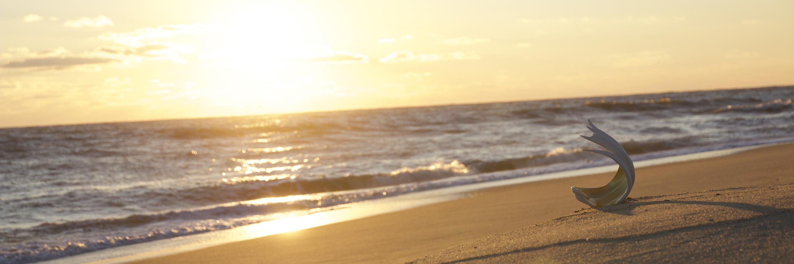 JenniferMcCurdy's profile banner image