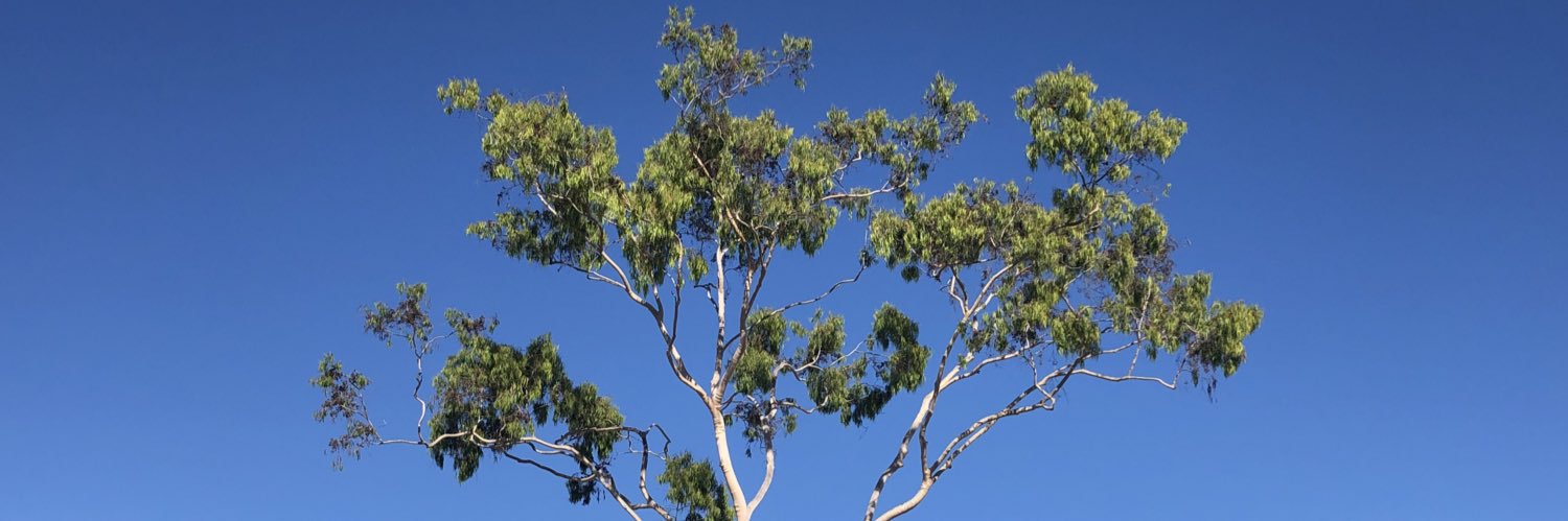 Spencer LaVere Smith banner