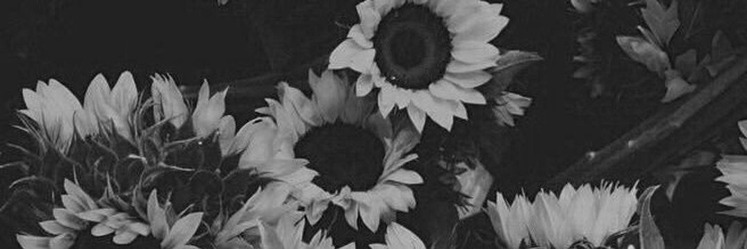 Stalker_Chichay's profile banner image
