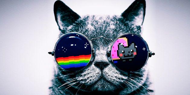 bunyberk's profile banner image