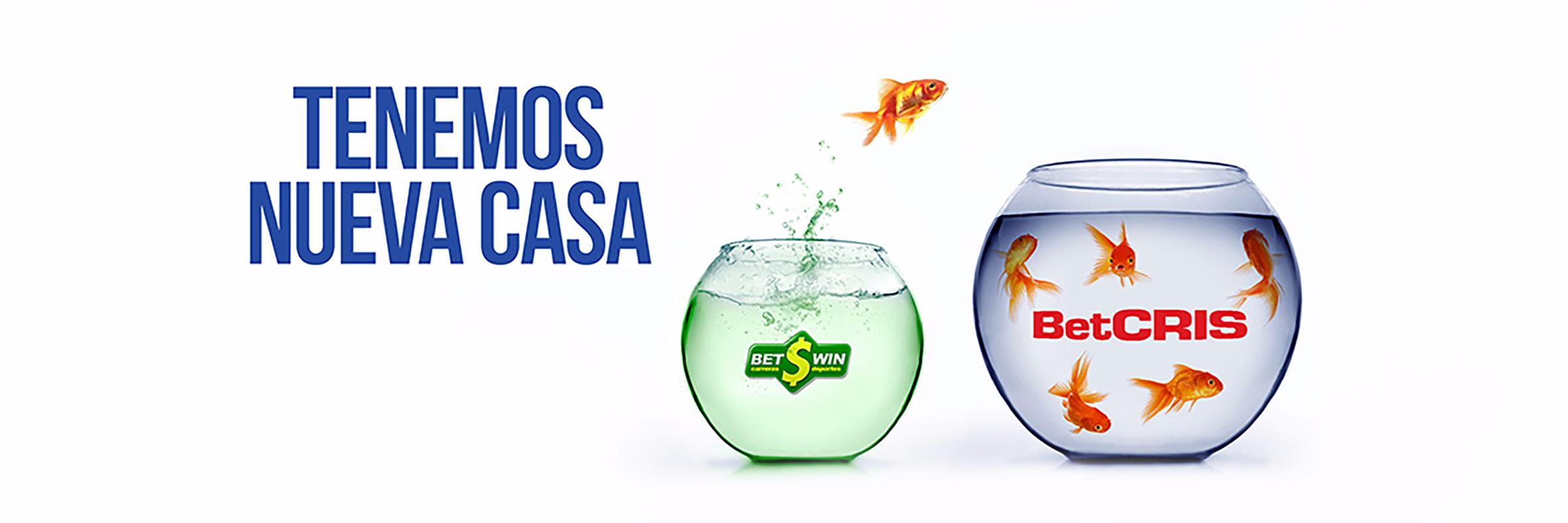 Bet$Win Panama banner