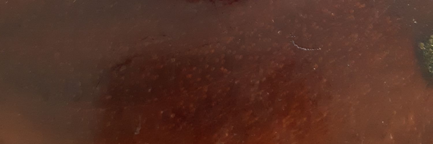 LBbELLL's profile banner image