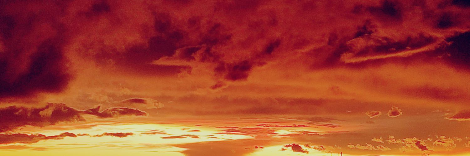 elsyguevarav's profile banner image