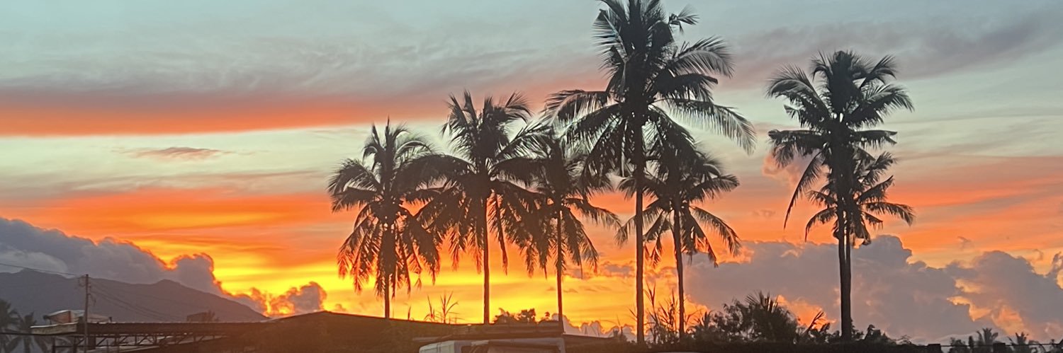 iamtherealaks's profile banner image
