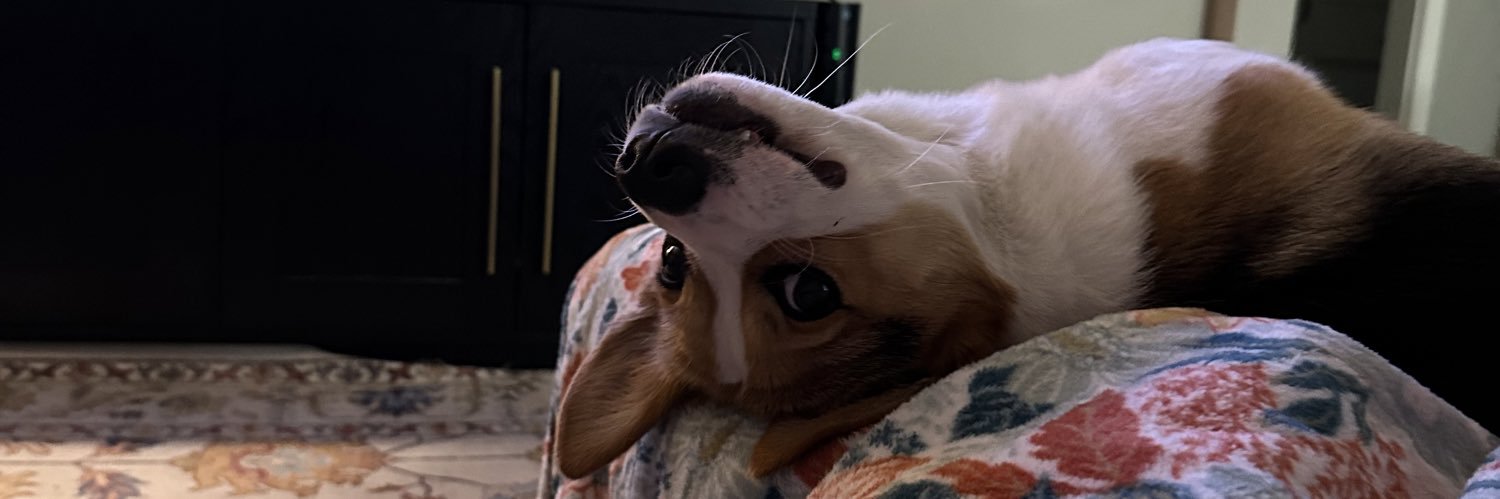 meganeff's profile banner image