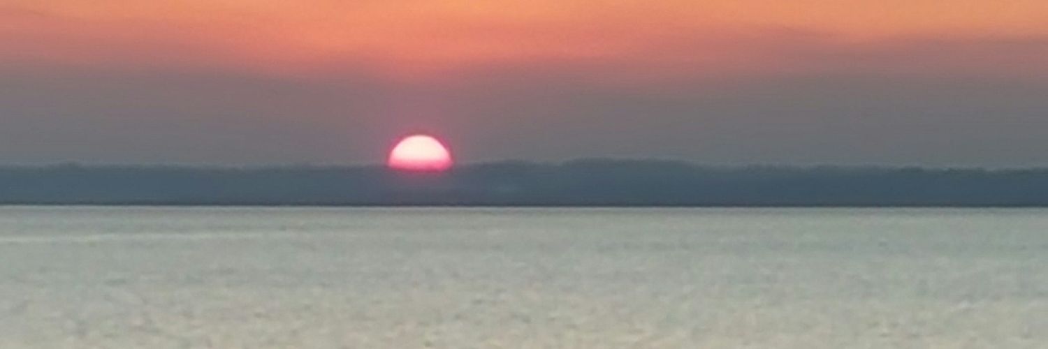 jorgevidott's profile banner image