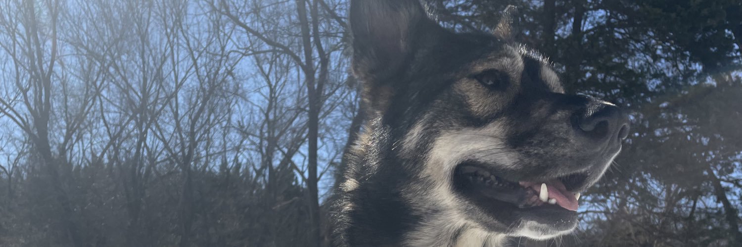 FeltmanMadison's profile banner image
