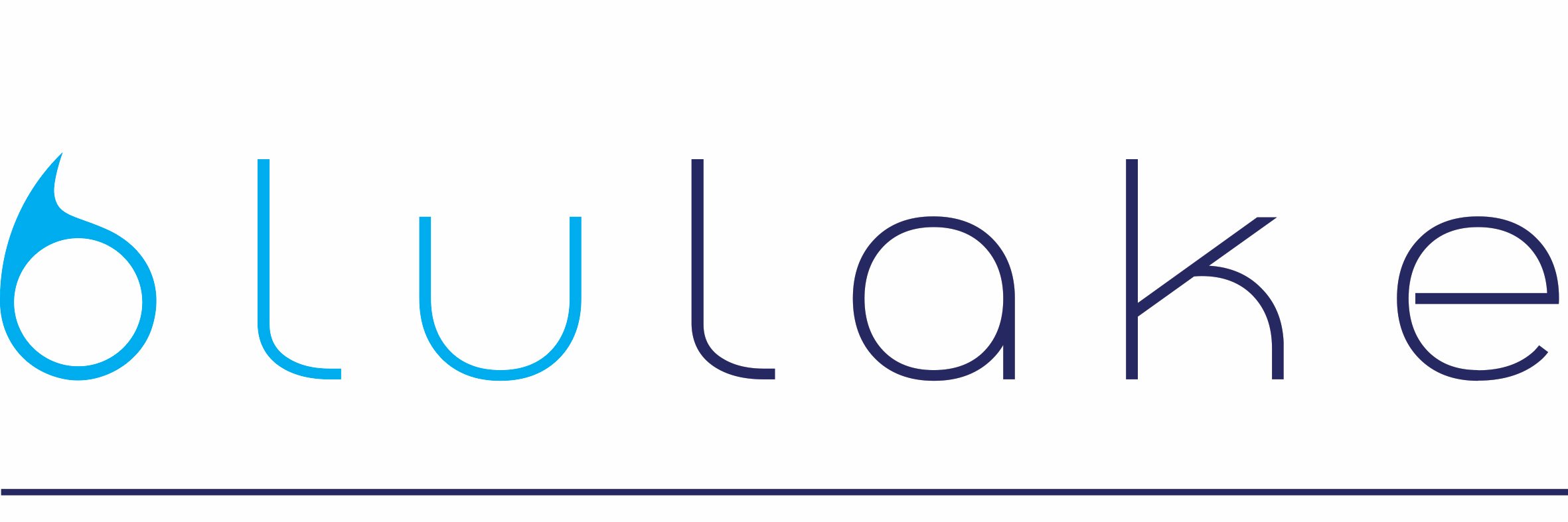 blulakecoach's profile banner image
