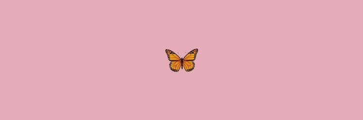 LavoreMicaela's profile banner image