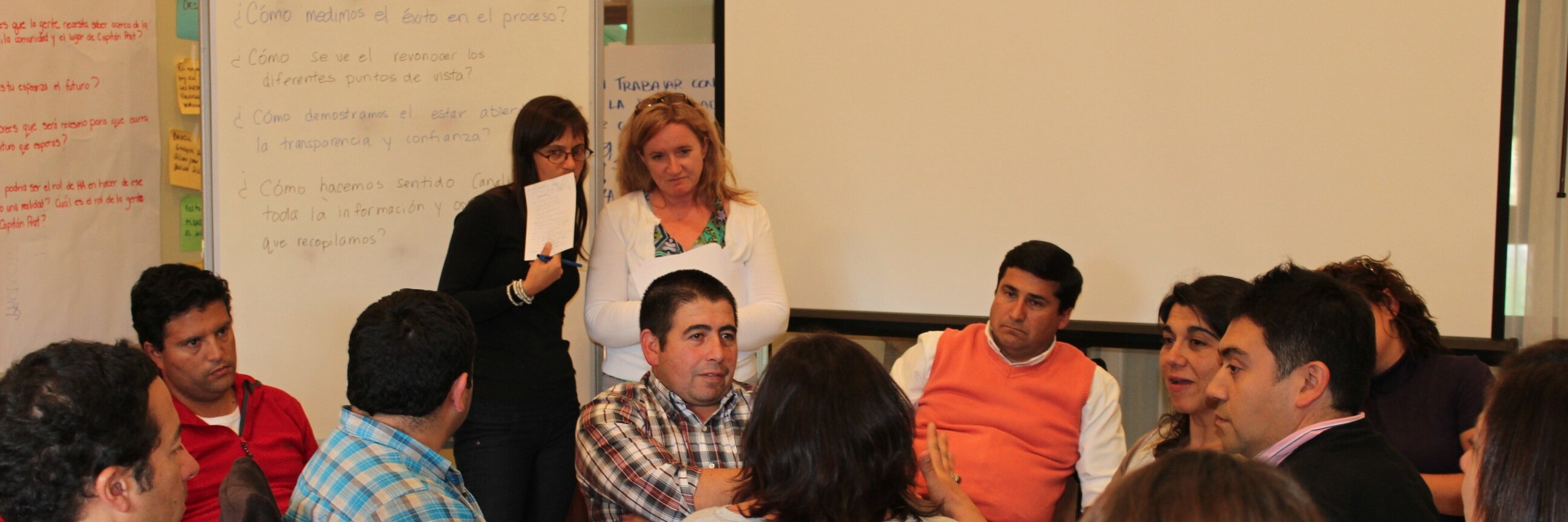 Steph Roy McCallum banner