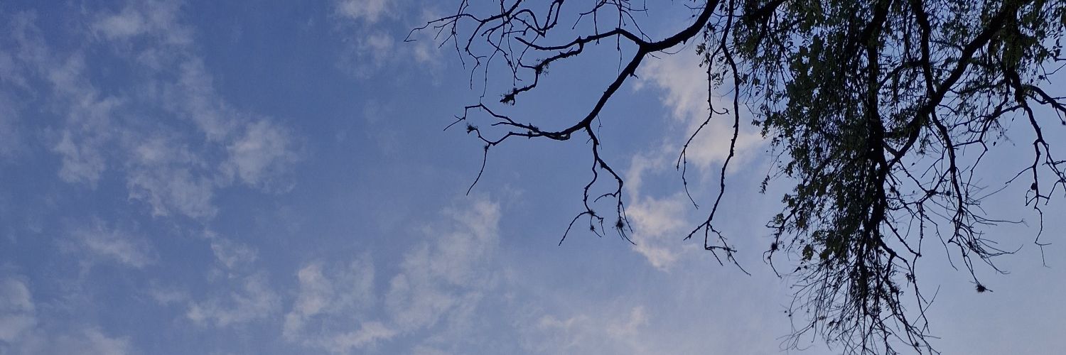 _MatiiRodriguez's profile banner image