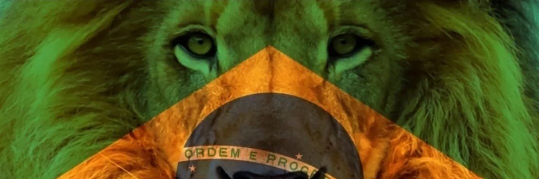 CapelaoRodrigo's profile banner image