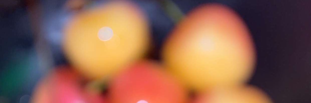 marissaminded's profile banner image