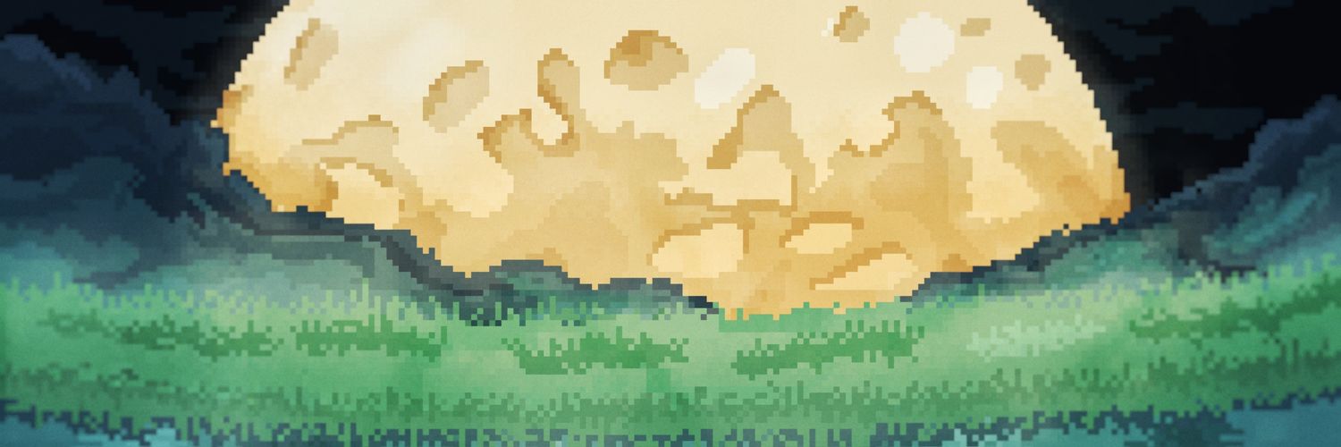 solvnz16's profile banner image