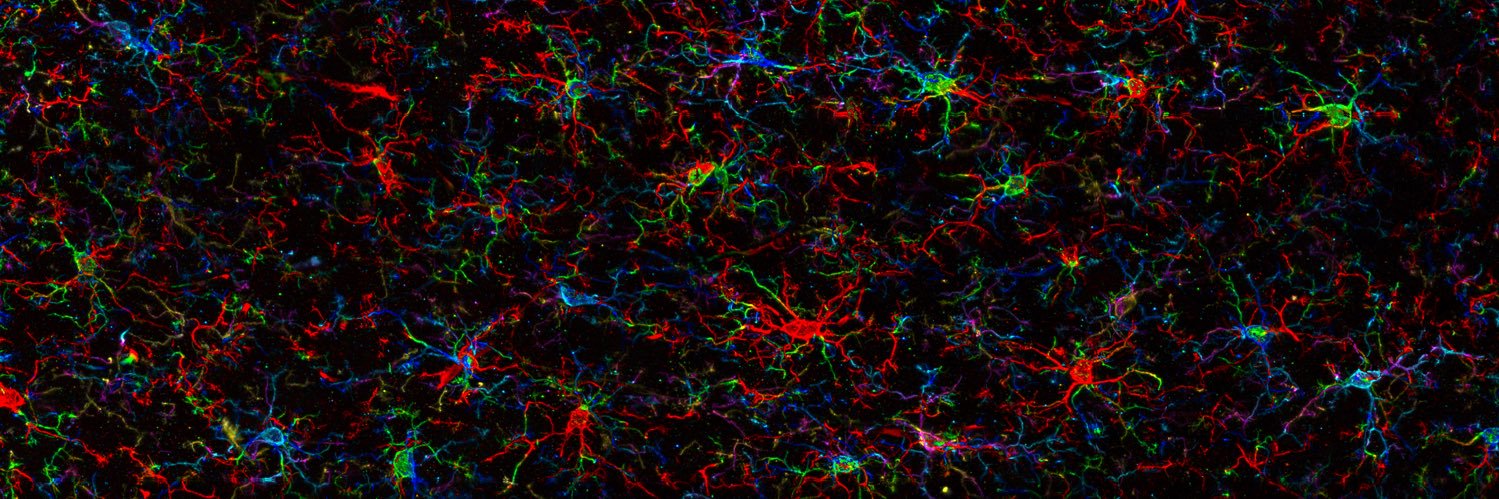 neurozahn's profile banner image