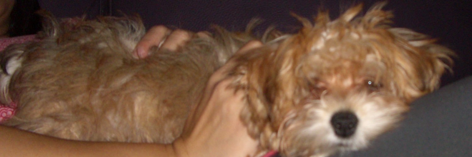 kyto425's profile banner image