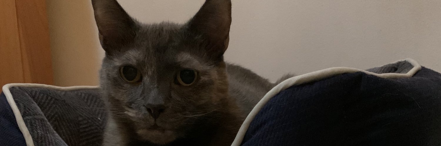 AnthonyFell4's profile banner image