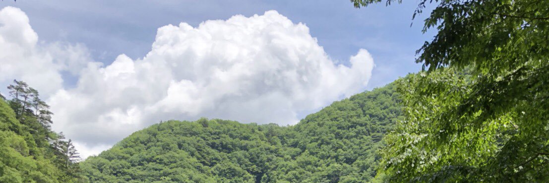 たま設 banner