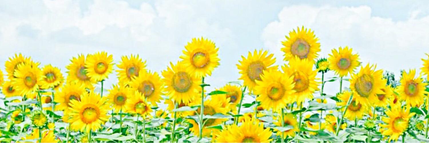 Liotvy's profile banner image