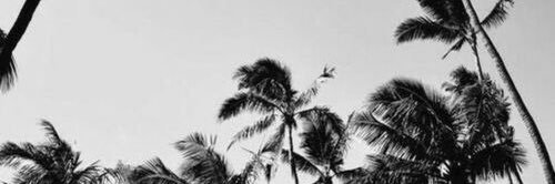 jackiegknight's profile banner image