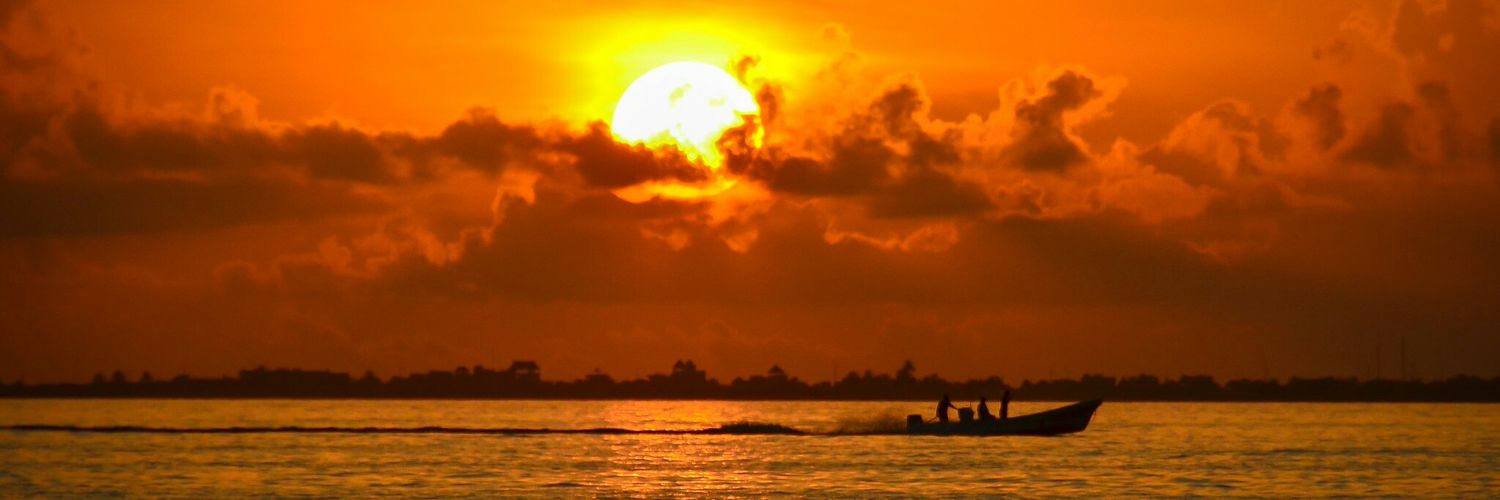 sallyRM_75's profile banner image