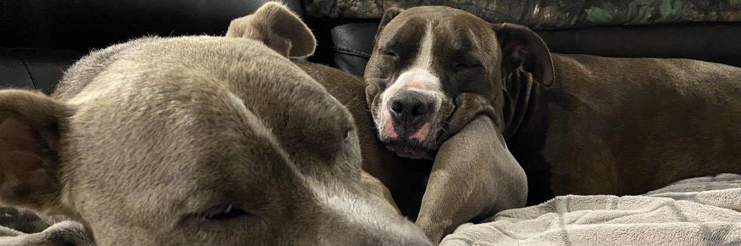 Pup_x3's profile banner image