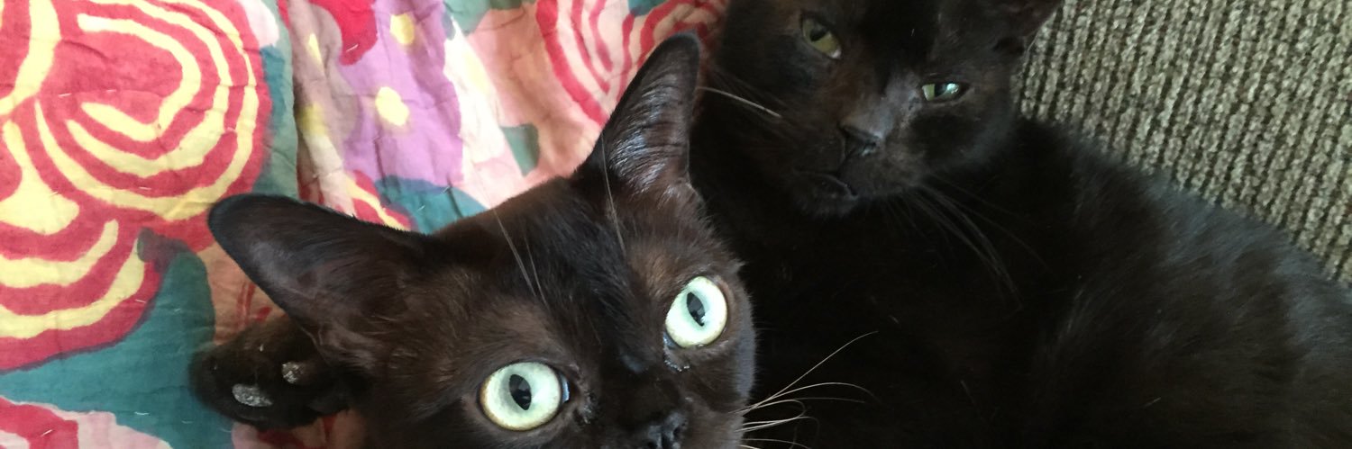 Rufmojo's profile banner image