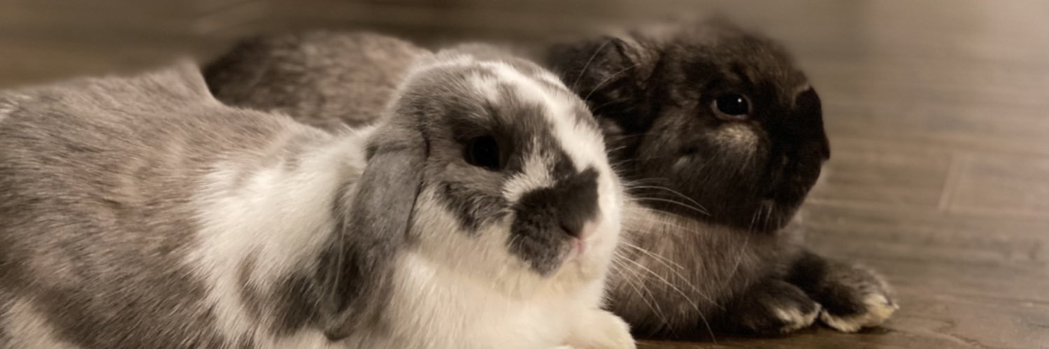 EverTheBeverly 🇺🇸 banner