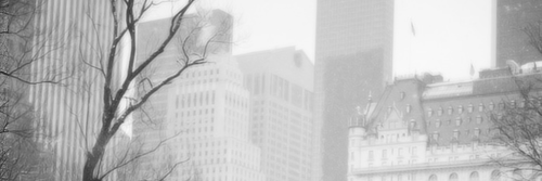thomasgrcgdr's profile banner image