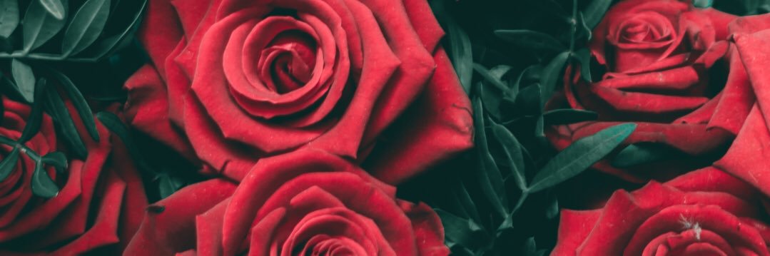 angeluuuzz's profile banner image