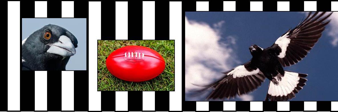 _GoPies's profile banner image