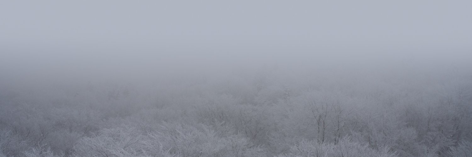 Paweł Budziński banner