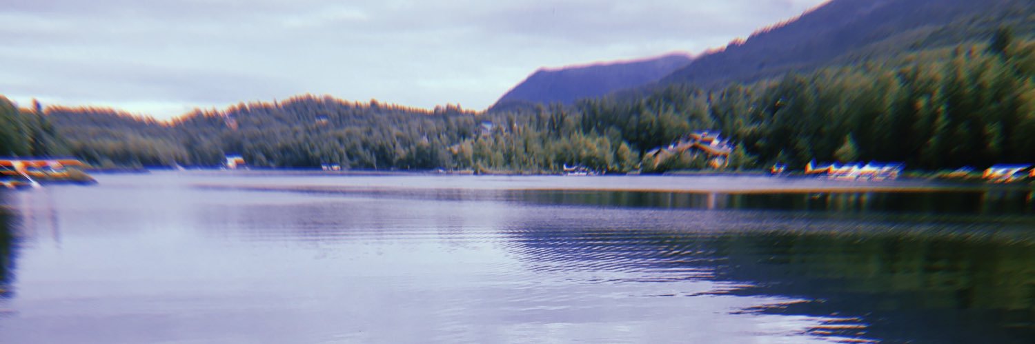 caitlinwachmann's profile banner image