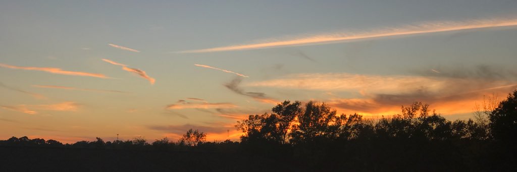 iamchelsrenee's profile banner image