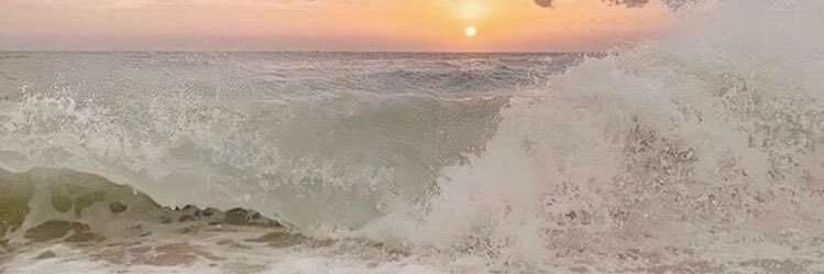 roxyxxmartin's profile banner image