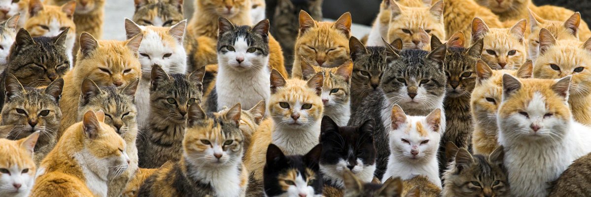 HurdeFurusSahaf's profile banner image