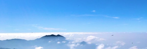 view_yoshi Profile Banner