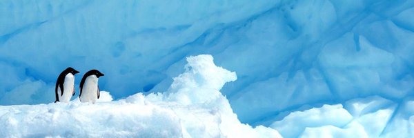 Nuclear_int Profile Banner