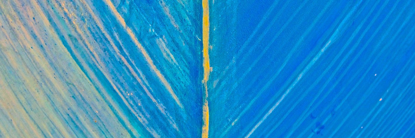bihemispheric's profile banner image
