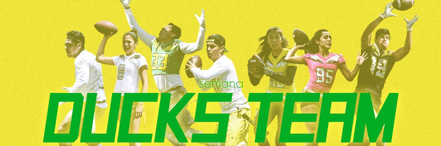 ducksteamf's profile banner image