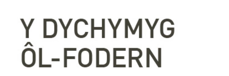 Rhiannon Marks banner