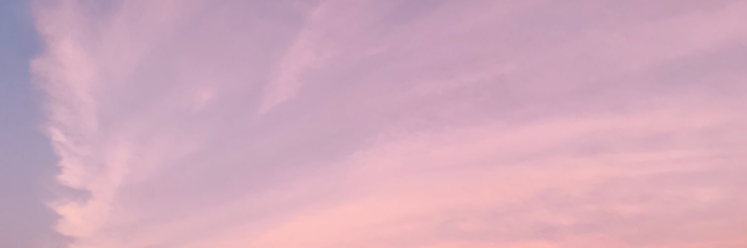 bailey_nl's profile banner image