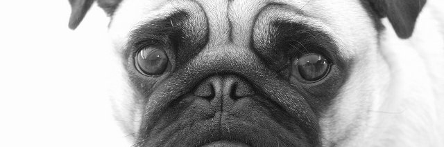 PCDoc_Bolton's profile banner image