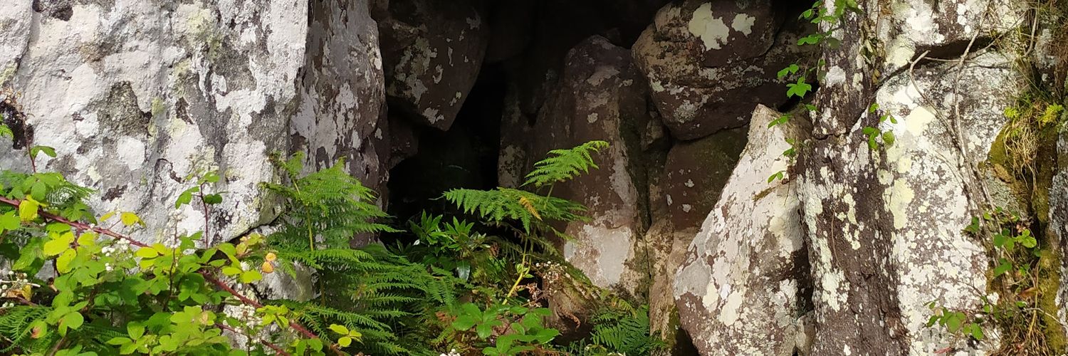 tonas1997's profile banner image