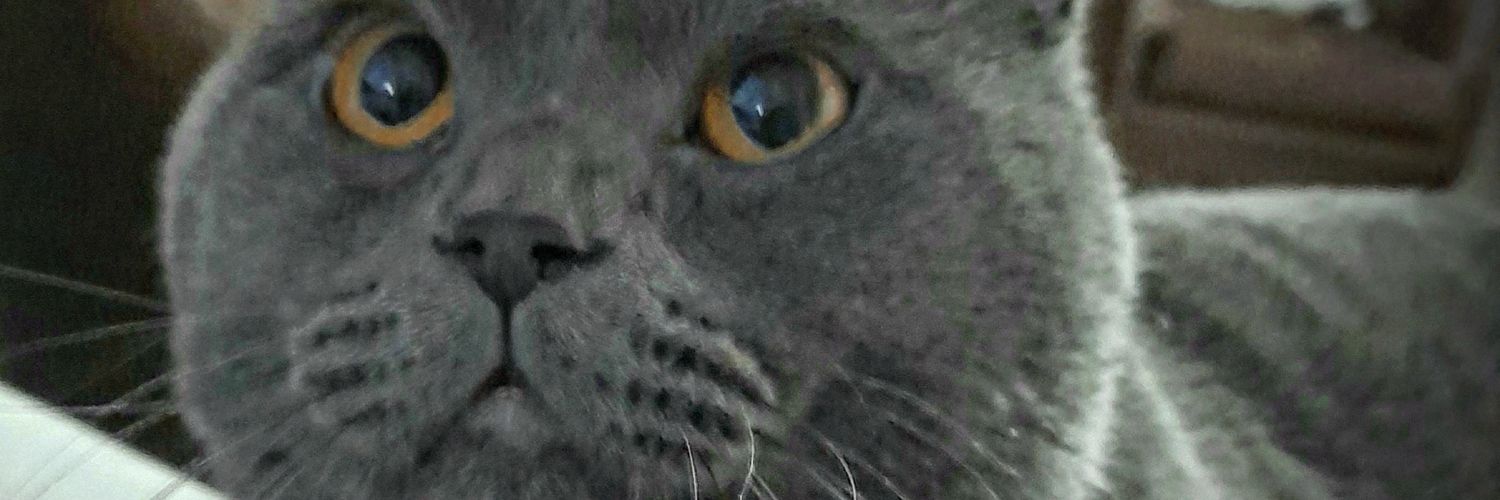 CennetKooc's profile banner image