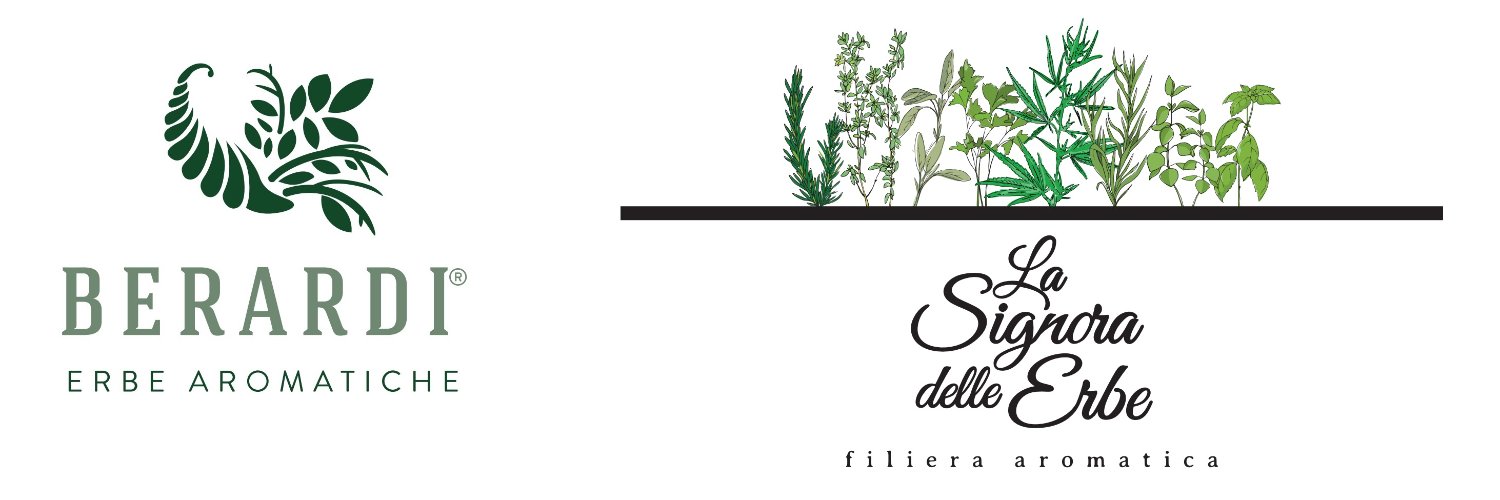 Erberardi's profile banner image
