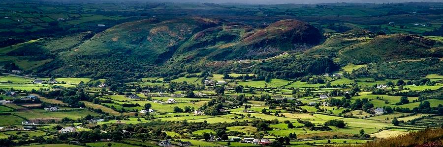 Andrew McGuinness banner