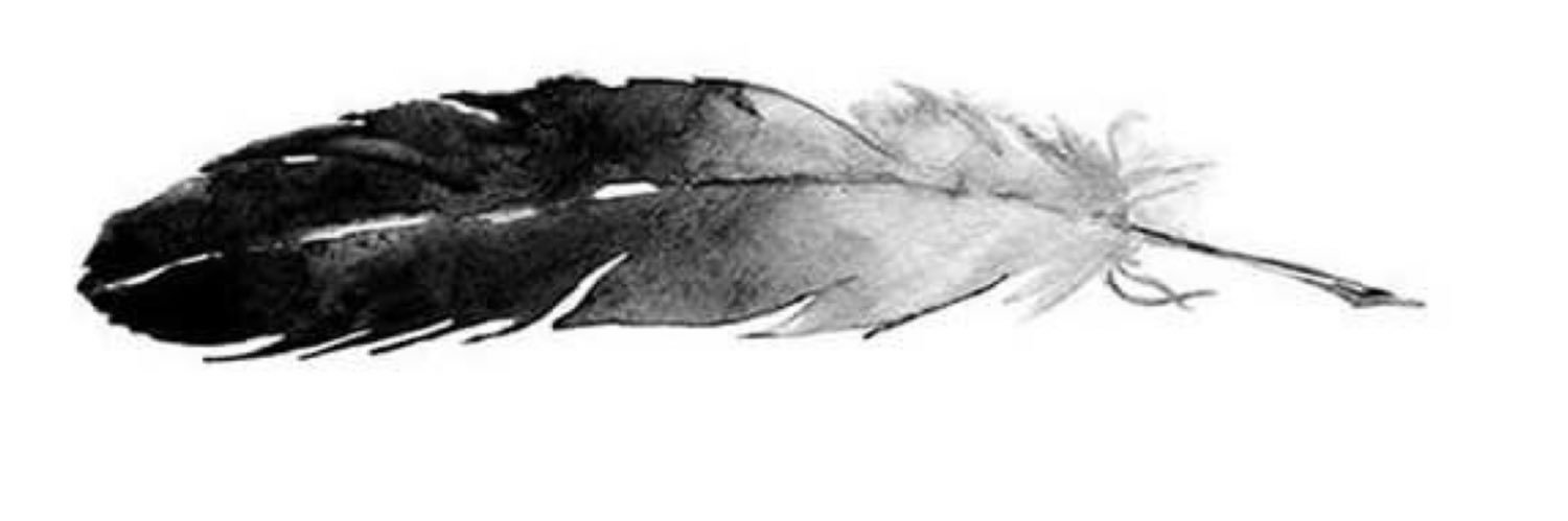 nouff_369's profile banner image